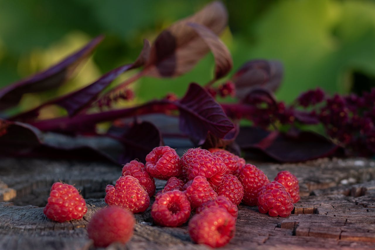 A close-up of ripe raspberries on a rustic wooden surface, captured outdoors.